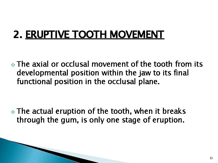2. ERUPTIVE TOOTH MOVEMENT v v The axial or occlusal movement of the tooth