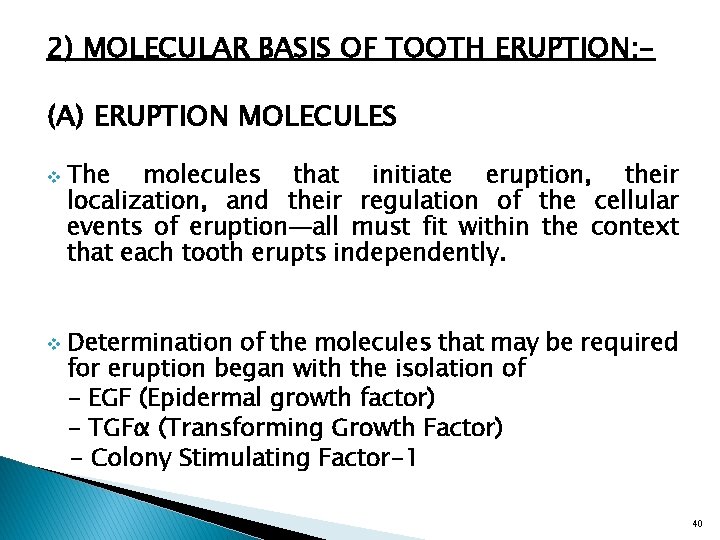 2) MOLECULAR BASIS OF TOOTH ERUPTION: (A) ERUPTION MOLECULES v v The molecules that