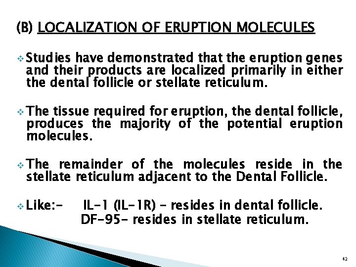 (B) LOCALIZATION OF ERUPTION MOLECULES v Studies have demonstrated that the eruption genes and