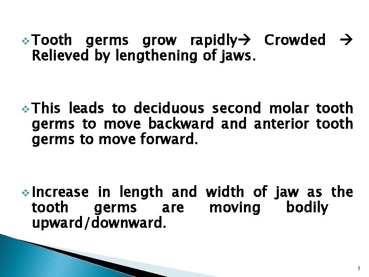 v Tooth germs grow rapidly Crowded Relieved by lengthening of jaws. v This leads