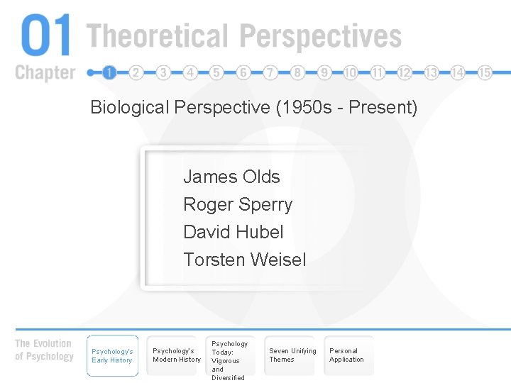 Biological Perspective (1950 s - Present) James Olds Roger Sperry David Hubel Torsten Weisel