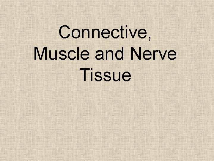 Connective, Muscle and Nerve Tissue 