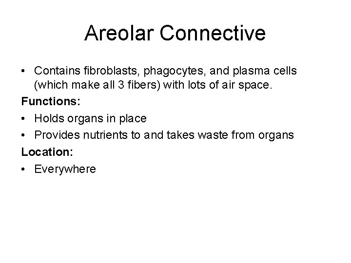 Areolar Connective • Contains fibroblasts, phagocytes, and plasma cells (which make all 3 fibers)