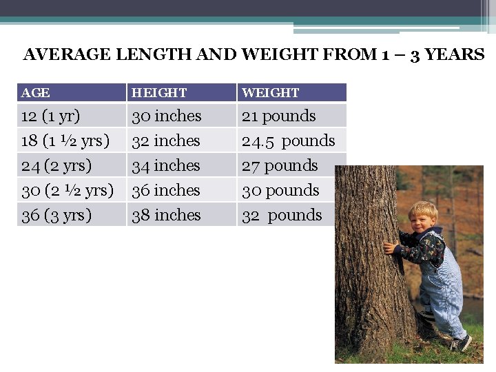 AVERAGE LENGTH AND WEIGHT FROM 1 – 3 YEARS AGE HEIGHT WEIGHT 12 (1
