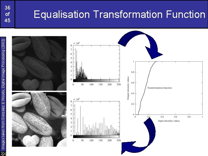 Images taken from Gonzalez & Woods, Digital Image Processing (2002) 36 of 45 Equalisation