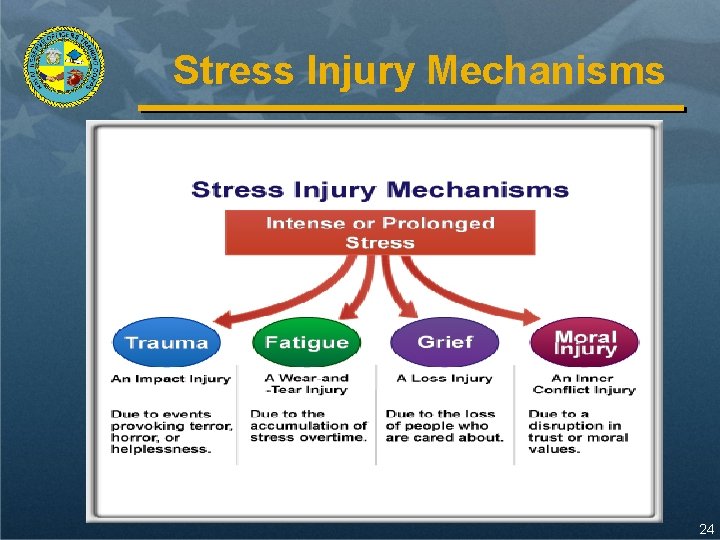 Stress Injury Mechanisms 24 