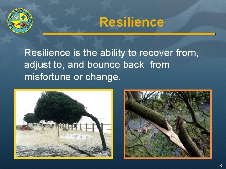 Resilience is the ability to recover from, adjust to, and bounce back from misfortune