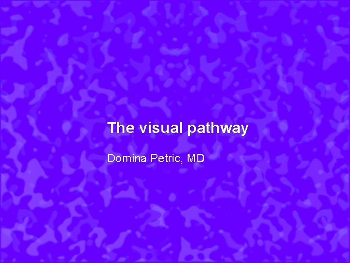 The visual pathway Domina Petric, MD 