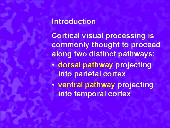 Introduction Cortical visual processing is commonly thought to proceed along two distinct pathways: •