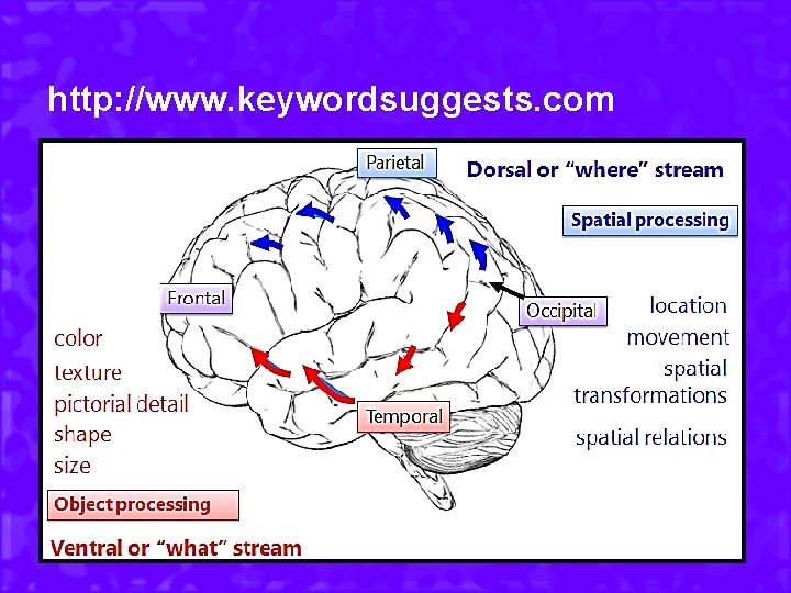 http: //www. keywordsuggests. com 