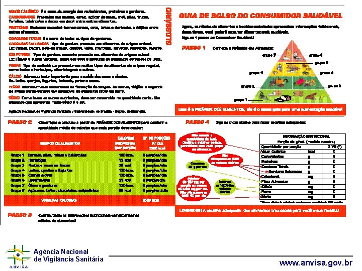 Agência Nacional de Vigilância Sanitária www. anvisa. gov. br Agência Nacional de Vigilância Sanitária www. anvisa. gov. br