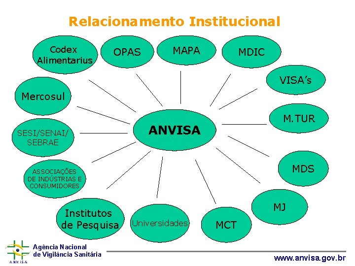 Relacionamento Institucional Codex Alimentarius OPAS MAPA MDIC VISA’s Mercosul SESI/SENAI/ SEBRAE M. TUR ANVISA