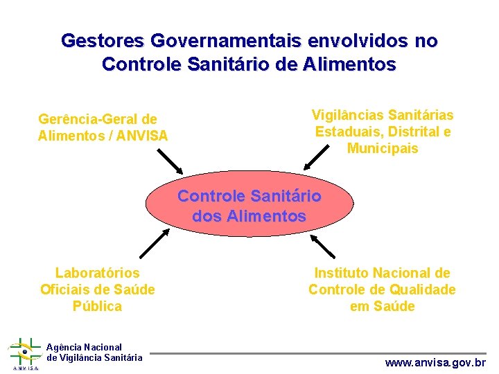 Gestores Governamentais envolvidos no Controle Sanitário de Alimentos Gerência-Geral de Alimentos / ANVISA Vigilâncias