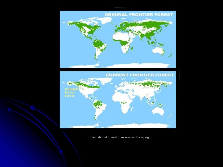 International Boreal Conservation Campaign 