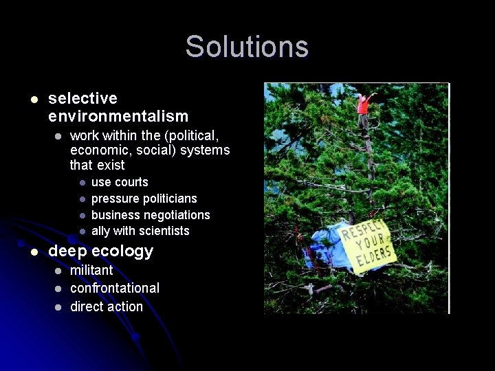 Solutions l selective environmentalism l work within the (political, economic, social) systems that exist