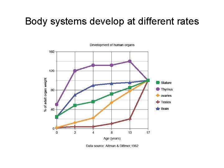 Body systems develop at different rates 