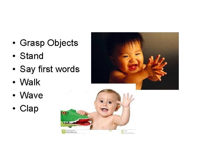  • • • Grasp Objects Stand Say first words Walk Wave Clap 