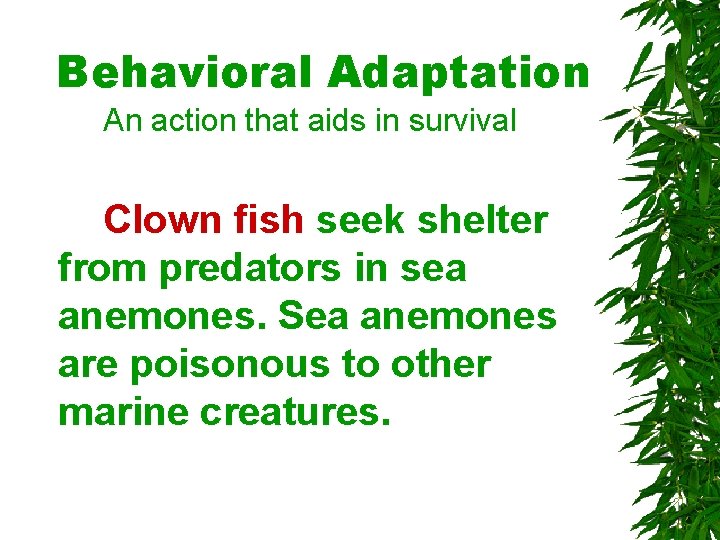 Behavioral Adaptation An action that aids in survival Clown fish seek shelter from predators Behavioral Adaptation An action that aids in survival Clown fish seek shelter from predators