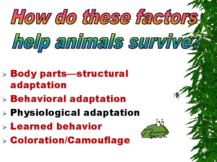 Ø Ø Ø Body parts—structural adaptation Behavioral adaptation Physiological adaptation Learned behavior Coloration/Camouflage Ø Ø Ø Body parts—structural adaptation Behavioral adaptation Physiological adaptation Learned behavior Coloration/Camouflage