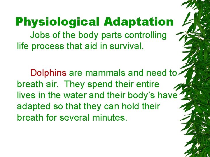 Physiological Adaptation Jobs of the body parts controlling life process that aid in survival. Physiological Adaptation Jobs of the body parts controlling life process that aid in survival.