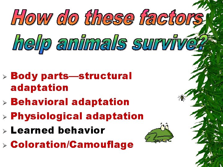 Ø Ø Ø Body parts—structural adaptation Behavioral adaptation Physiological adaptation Learned behavior Coloration/Camouflage Ø Ø Ø Body parts—structural adaptation Behavioral adaptation Physiological adaptation Learned behavior Coloration/Camouflage