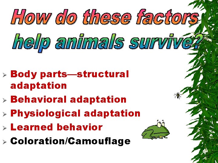Ø Ø Ø Body parts—structural adaptation Behavioral adaptation Physiological adaptation Learned behavior Coloration/Camouflage Ø Ø Ø Body parts—structural adaptation Behavioral adaptation Physiological adaptation Learned behavior Coloration/Camouflage