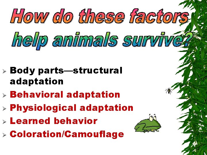 Ø Ø Ø Body parts—structural adaptation Behavioral adaptation Physiological adaptation Learned behavior Coloration/Camouflage Ø Ø Ø Body parts—structural adaptation Behavioral adaptation Physiological adaptation Learned behavior Coloration/Camouflage