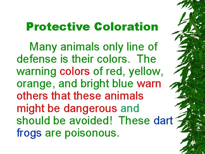 Protective Coloration Many animals only line of defense is their colors. The warning colors Protective Coloration Many animals only line of defense is their colors. The warning colors