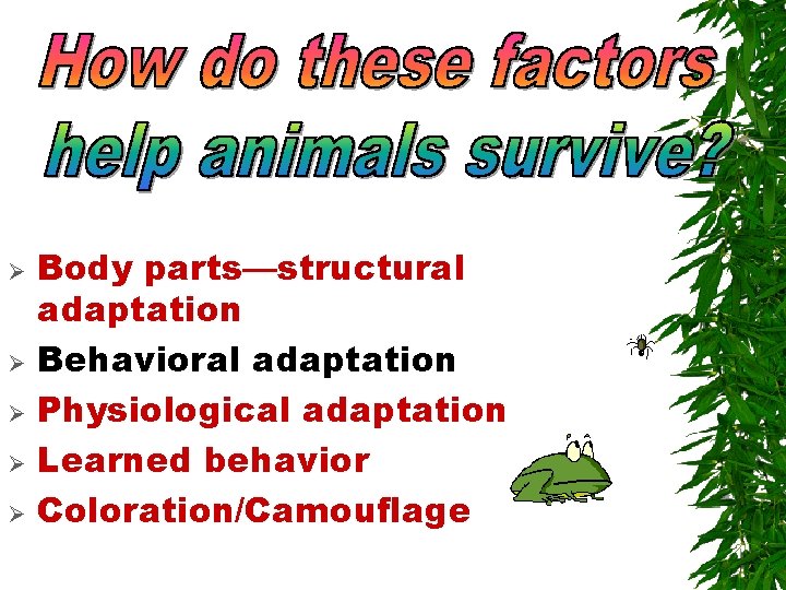 Ø Ø Ø Body parts—structural adaptation Behavioral adaptation Physiological adaptation Learned behavior Coloration/Camouflage Ø Ø Ø Body parts—structural adaptation Behavioral adaptation Physiological adaptation Learned behavior Coloration/Camouflage