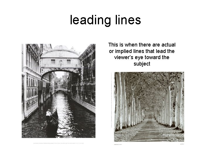 leading lines This is when there actual or implied lines that lead the viewer’s