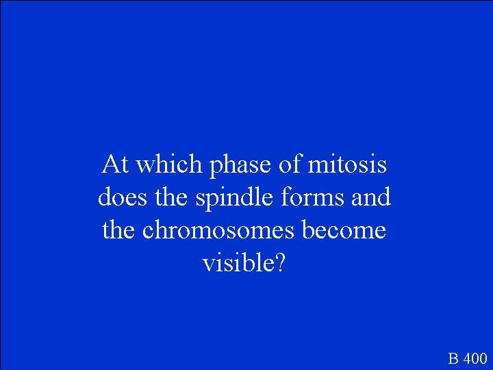 At which phase of mitosis does the spindle forms and the chromosomes become visible?