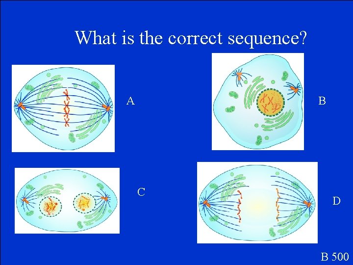 What is the correct sequence? A B C D B 500 