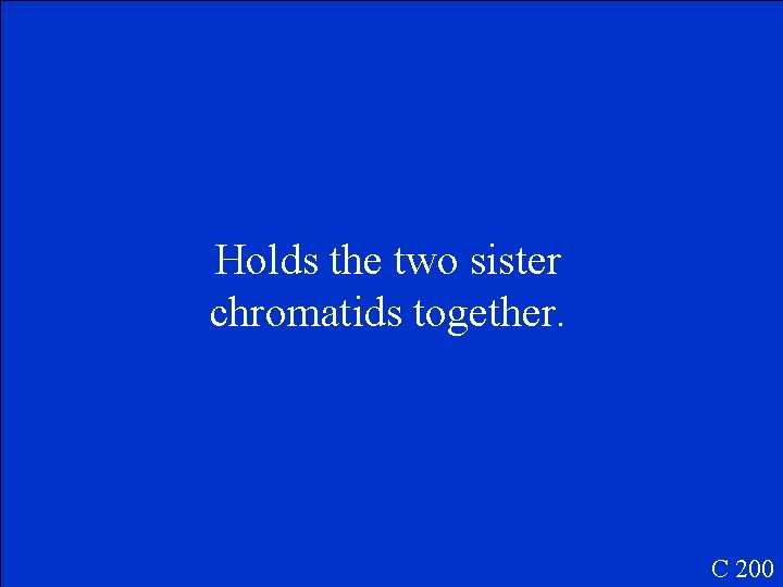 Holds the two sister chromatids together. C 200 