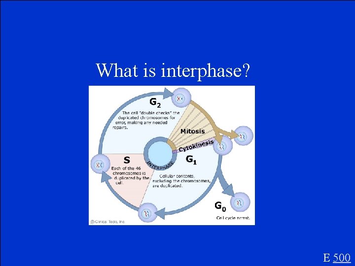 What is interphase? E 500 