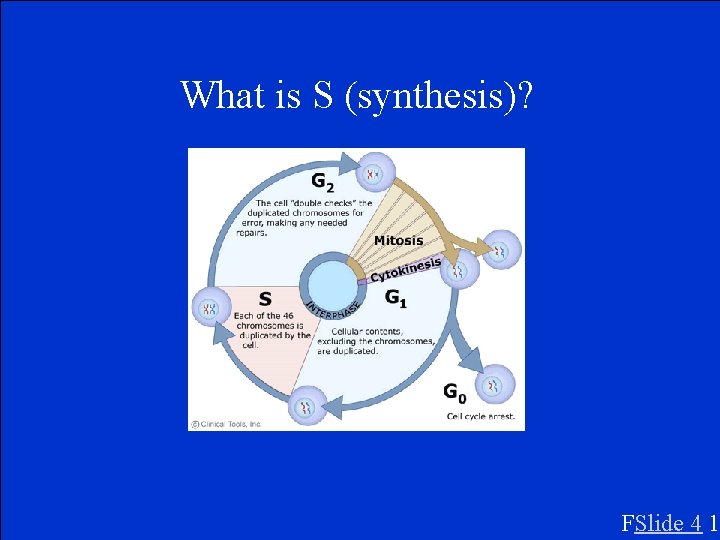 What is S (synthesis)? FSlide 4 1 