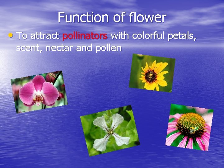 Function of flower • To attract pollinators with colorful petals, scent, nectar and pollen