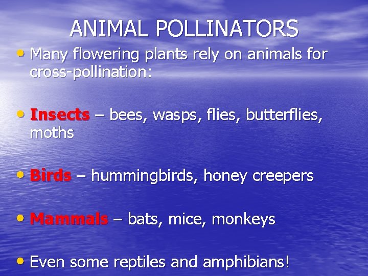 ANIMAL POLLINATORS • Many flowering plants rely on animals for cross-pollination: • Insects –