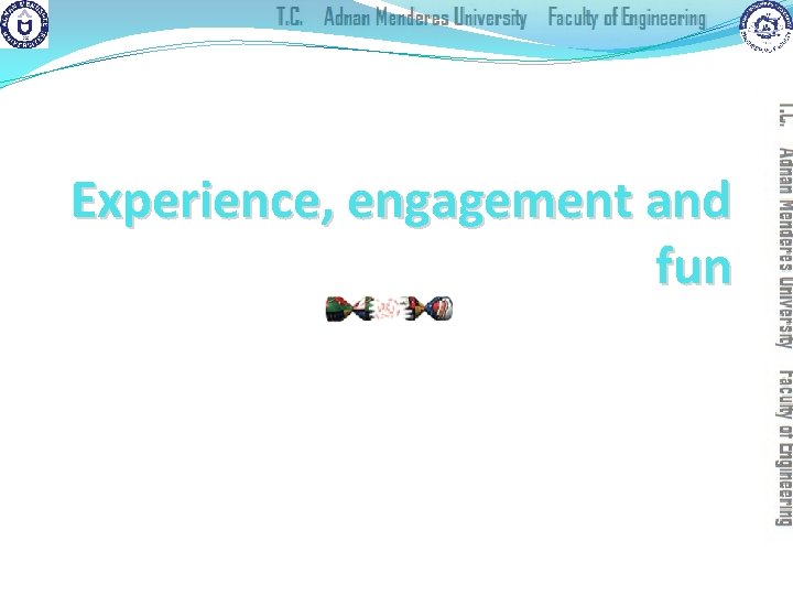 Experience, engagement and fun designing experience physical engagement managing value 