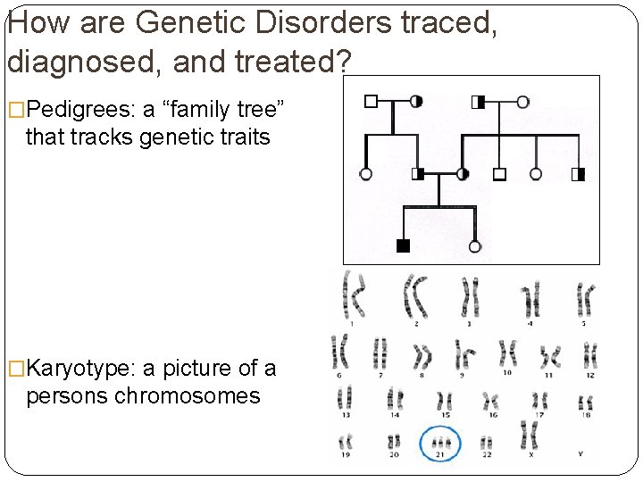 How are Genetic Disorders traced, diagnosed, and treated? �Pedigrees: a “family tree” that tracks