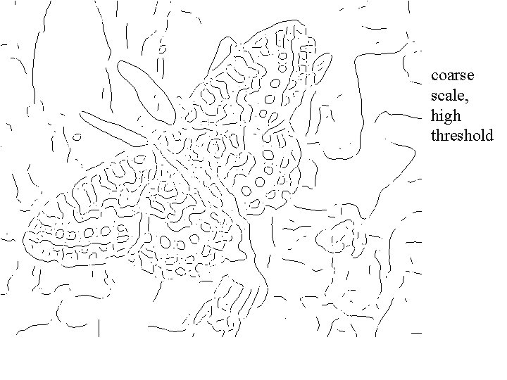 coarse scale, high threshold 