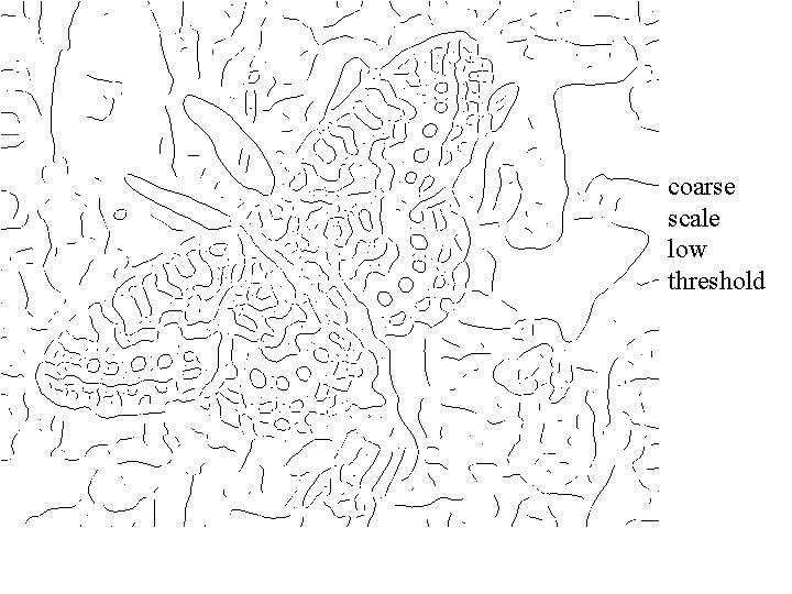coarse scale low threshold 