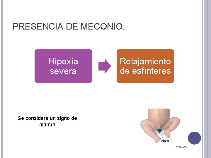 PRESENCIA DE MECONIO. Hipoxia severa Se considera un signo de alarma Relajamiento de esfínteres