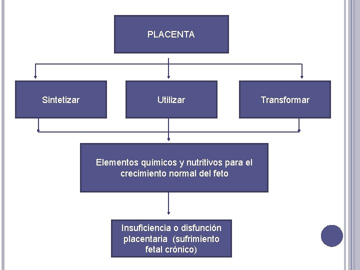 PLACENTA Sintetizar Utilizar Elementos químicos y nutritivos para el crecimiento normal del feto Insuficiencia