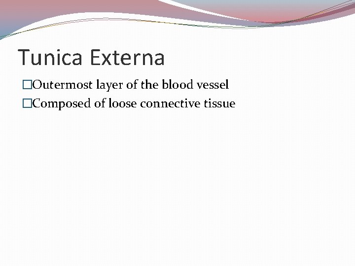 Tunica Externa �Outermost layer of the blood vessel �Composed of loose connective tissue 