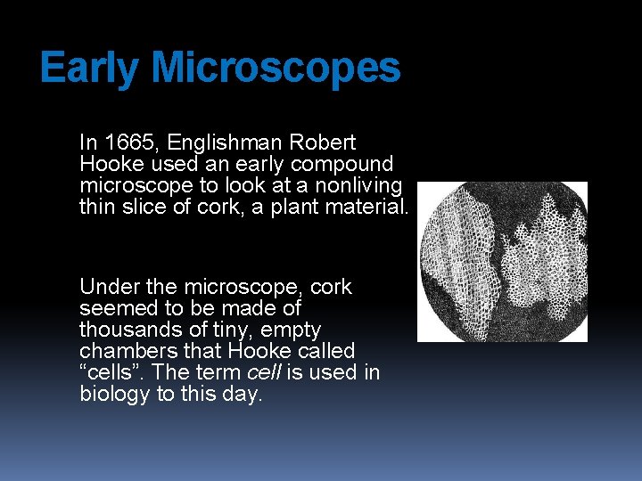 Early Microscopes In 1665, Englishman Robert Hooke used an early compound microscope to look