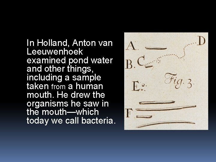In Holland, Anton van Leeuwenhoek examined pond water and other things, including a sample