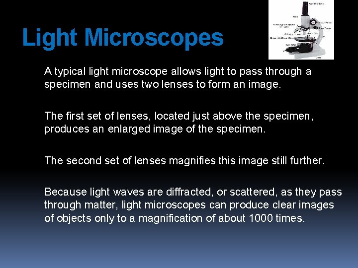 Light Microscopes A typical light microscope allows light to pass through a specimen and