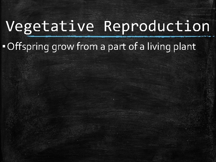 Vegetative Reproduction ▪ Offspring grow from a part of a living plant 