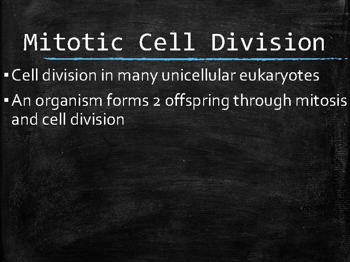 Mitotic Cell Division ▪ Cell division in many unicellular eukaryotes ▪ An organism forms