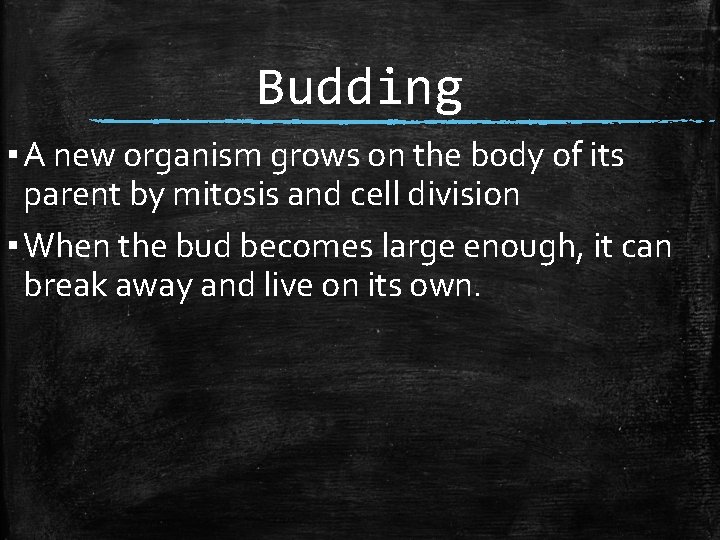 Budding ▪ A new organism grows on the body of its parent by mitosis